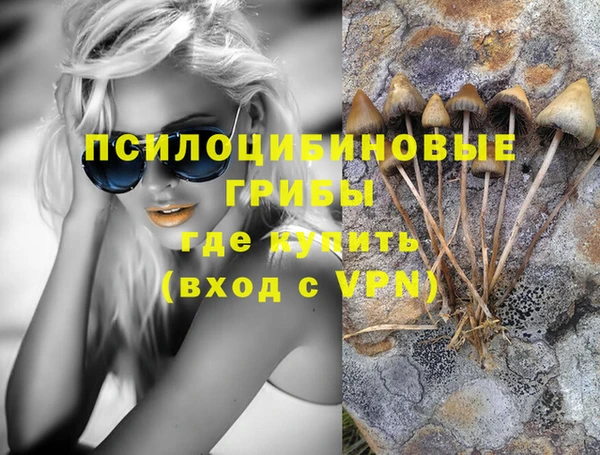 PSILOCYBIN Зеленокумск
