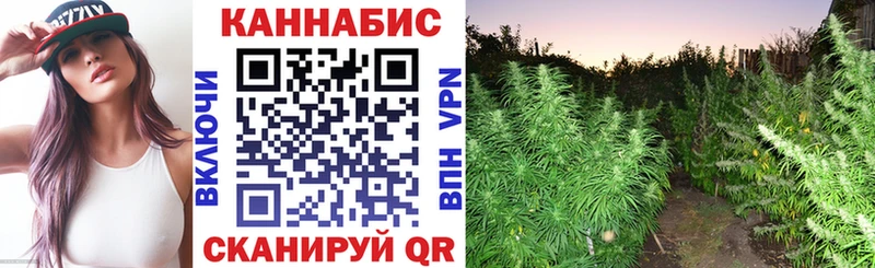 где можно купить наркотик  Спас-Деменск  Шишки марихуана индика 
